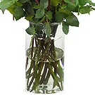 Amsterdam blommor- 20 röda rosor | Odlare Bukett/blomsterarrangemang