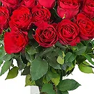 Amsterdam-Zuidoost flowers  -  Spring Roses Bouquet Flower Bouquet/Arrangement