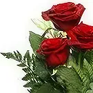 Smederevska Palanka flowers  -  Red Roses & Milka Flower Bouquet/Arrangement