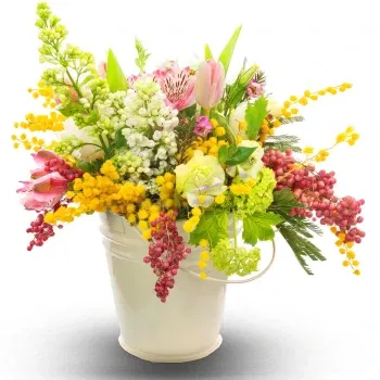 Bolivia online Florist - Spring flowers arrangement with mimoza Bouquet