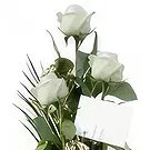 Cala Llonga flowers  -  Tranquil White Rose Ensemble Flower Bouquet/Arrangement