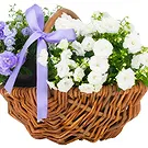 Birmingham flowers  -  White and blue basket Flower Bouquet/Arrangement