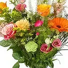 Amsterdam-Zuidoost flowers  -  cheer Flower Bouquet/Arrangement