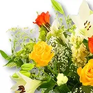 Amsterdam-Zuidoost flowers  -  Happy Sarah Flower Bouquet/Arrangement