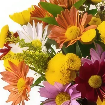 Белу-Оризонти цветы- Расположение красочных ромашек и листвы Цветочный букет/композиция