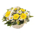 Italië bloemen bloemist- Mand met witte en gele bloemen Boeket/bloemstuk