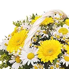 Italië bloemen bloemist- Mand met witte en gele bloemen Boeket/bloemstuk