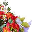 Oman flowers  -  Colorful Blooms Flower Bouquet/Arrangement