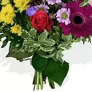 Taunton flowers  -  Cupcake special Flower Bouquet/Arrangement
