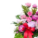Italy flowers  -  Bouquet of pink and white ranunculus Flower Bouquet/Arrangement