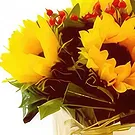 Wroclaw flowers  -  Continuous Love  Flower Bouquet/Arrangement
