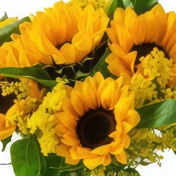 Manaus blommor- Solrosor i vas och Teddybear Bukett/blomsterarrangemang