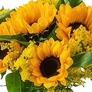 Brasilien Blumen Florist- Sonnenblumen in Vase und Teddybär Bouquet/Blumenschmuck