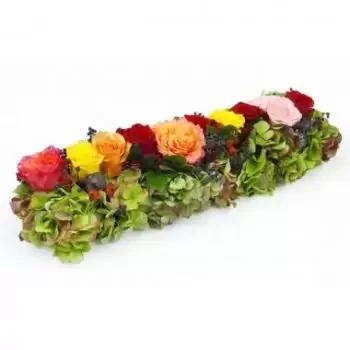 מרטיניק פרחים- שביל ורדים צבעוניים סוקרטס פרח משלוח
