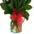 Adma flowers  -  Simple Pleasure Flower Bouquet/Arrangement