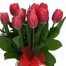 Adma flowers  -  Simple Pleasure Flower Bouquet/Arrangement