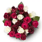Amsterdam flowers  -  Rose Celebration Flower Bouquet/Arrangement