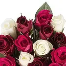 Amsterdam flowers  -  Rose Celebration Flower Bouquet/Arrangement