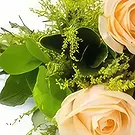 Santa Maria flowers  -  Bouquet of 8 Champagne Roses Flower Bouquet/Arrangement