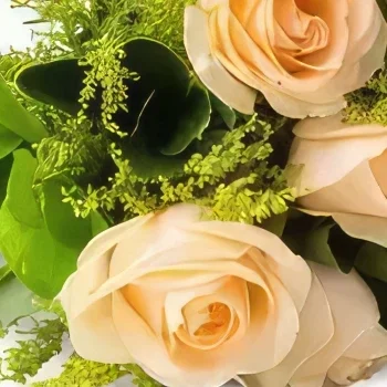 flores el Salvador floristeria -  Ramo de 8 rosas de champán Ramo de flores/arreglo floral