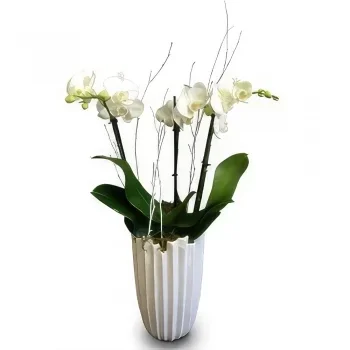 Portimao kvety- Moderné a elegantné Aranžovanie kytice