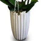 Mira flowers  -  Modern and Elegant  Flower Bouquet/Arrangement