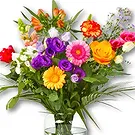 Holland flowers  -  Bouquet Cleo Flower Bouquet/Arrangement