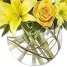 Ad Dilam blomster- Blandede gule blomster Blomsterarrangementer bukett