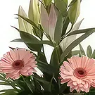 بائع زهور بوريكي- حد الكمال باقة الزهور