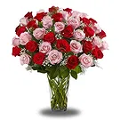 Prokuplje flowers  -  Truly Beautiful Flower Bouquet/Arrangement