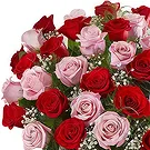 Prokuplje flowers  -  Truly Beautiful Flower Bouquet/Arrangement