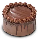 Schoondijke flowers  -  chocolate drip cake Flower Bouquet/Arrangement