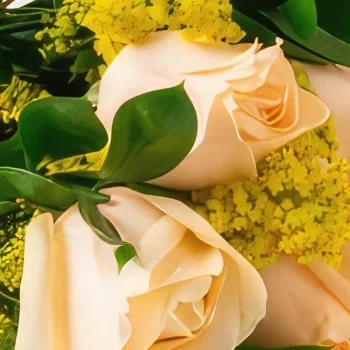 Σαλβαντόρ λουλούδια- Μπουκέτο από 8 τριαντάφυλλα σαμπάνιας και σοκ Μπουκέτο/ρύθμιση λουλουδιών