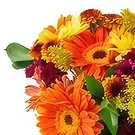 Santa Maria flowers  -  Median Arrangement of Colorful Field Flowers  Flower Bouquet/Arrangement