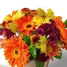 Santa Maria flowers  -  Median Arrangement of Colorful Field Flowers  Flower Bouquet/Arrangement