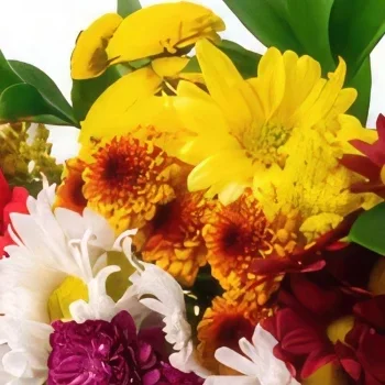 רסיפה פרחים- זר גדול של פרחי שדה צבעוניים ושוקולדים זר פרחים/סידור פרחים