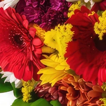 רסיפה פרחים- זר גדול של פרחי שדה צבעוניים ושוקולדים זר פרחים/סידור פרחים