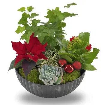 Oslo online Florist - Christmas happiness Bouquet