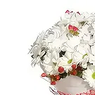 アブラモボ 花- 素晴らしい開花 花束/フラワーアレンジメント