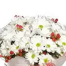 アブラモボ 花- 素晴らしい開花 花束/フラワーアレンジメント