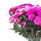 Mira flowers  -  Chrysanthemum Flowers Flower Bouquet/Arrangement