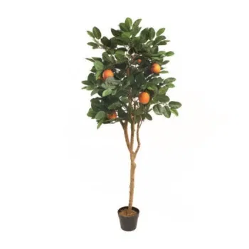 Italien online Blomsterhandler - Orange Plante Buket