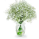 flores de Amã- Bom humor Bouquet/arranjo de flor