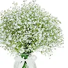flores de Amã- Bom humor Bouquet/arranjo de flor