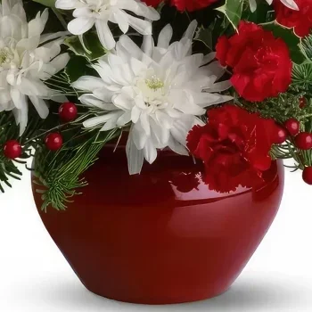 Ибиса цветя- Червената красавица Букет/договореност цвете