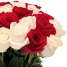 بائع زهور نينه بنه- إزهار كامل باقة الزهور