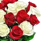 Надым цветы- Любовная смесь Цветочный букет/композиция
