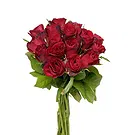 Italy flowers  -  Bunch of red roses Flower Bouquet/Arrangement