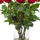 Amsterdam-Zuidoost flowers  -  10 red roses | Grower Flower Bouquet/Arrangement