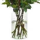 Amsterdam-Zuidoost flowers  -  10 red roses | Grower Flower Bouquet/Arrangement